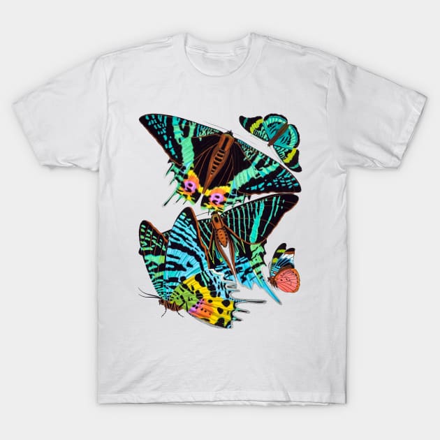 Butterflies Watercolor #4 T-Shirt by olemanner